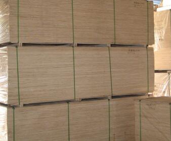 ��̩��ȼ�峧��վ��ҳ�������