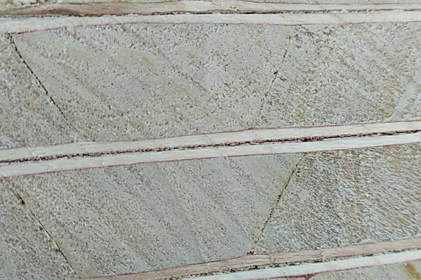 ��̩��ȼϸľ����